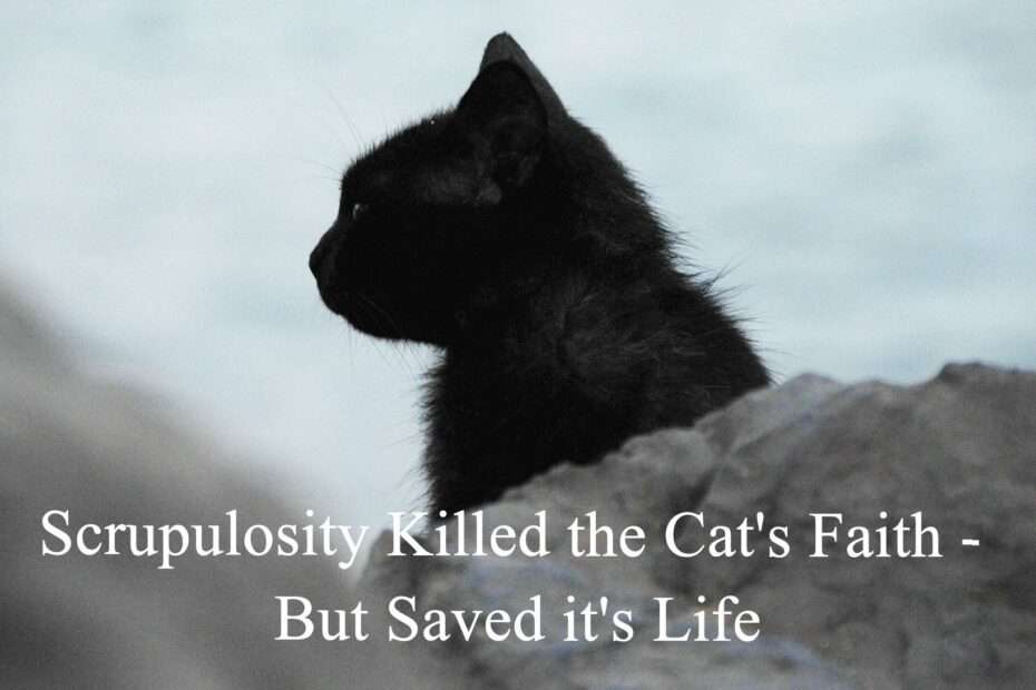 Scrupulosity Killed the Cat's Faith - But Saved it's Life